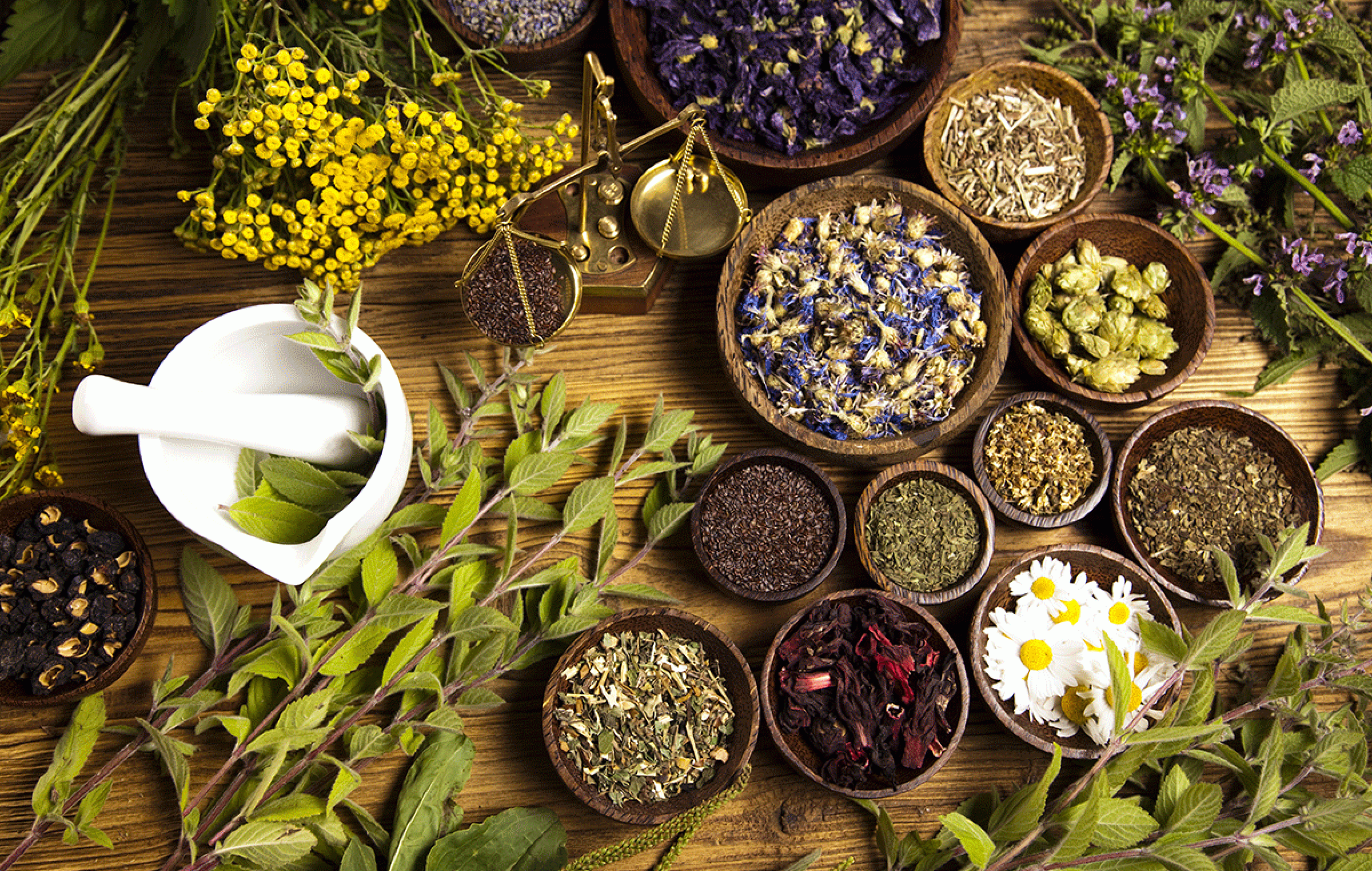 What the Heck Are Adaptogens?!