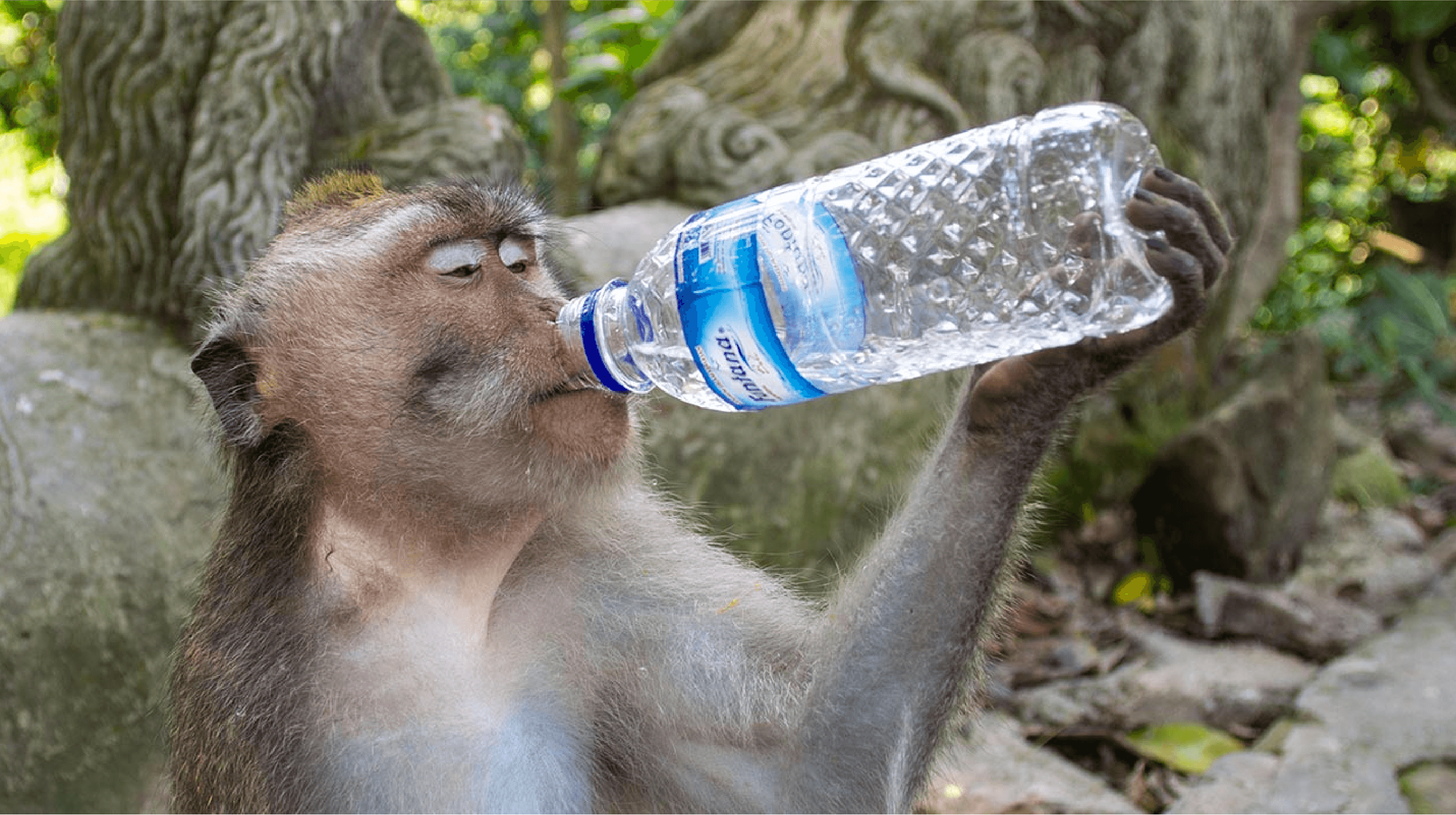 💧 Hydrate or else! 🕵️♀️ Idaho killings solved 💰 Immortal billionaires