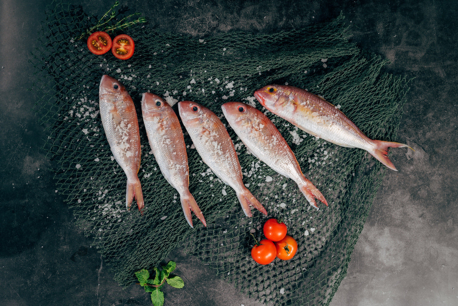 High-Protein, Low-Carb Diets: Basics, Benefits, and Approved Foods