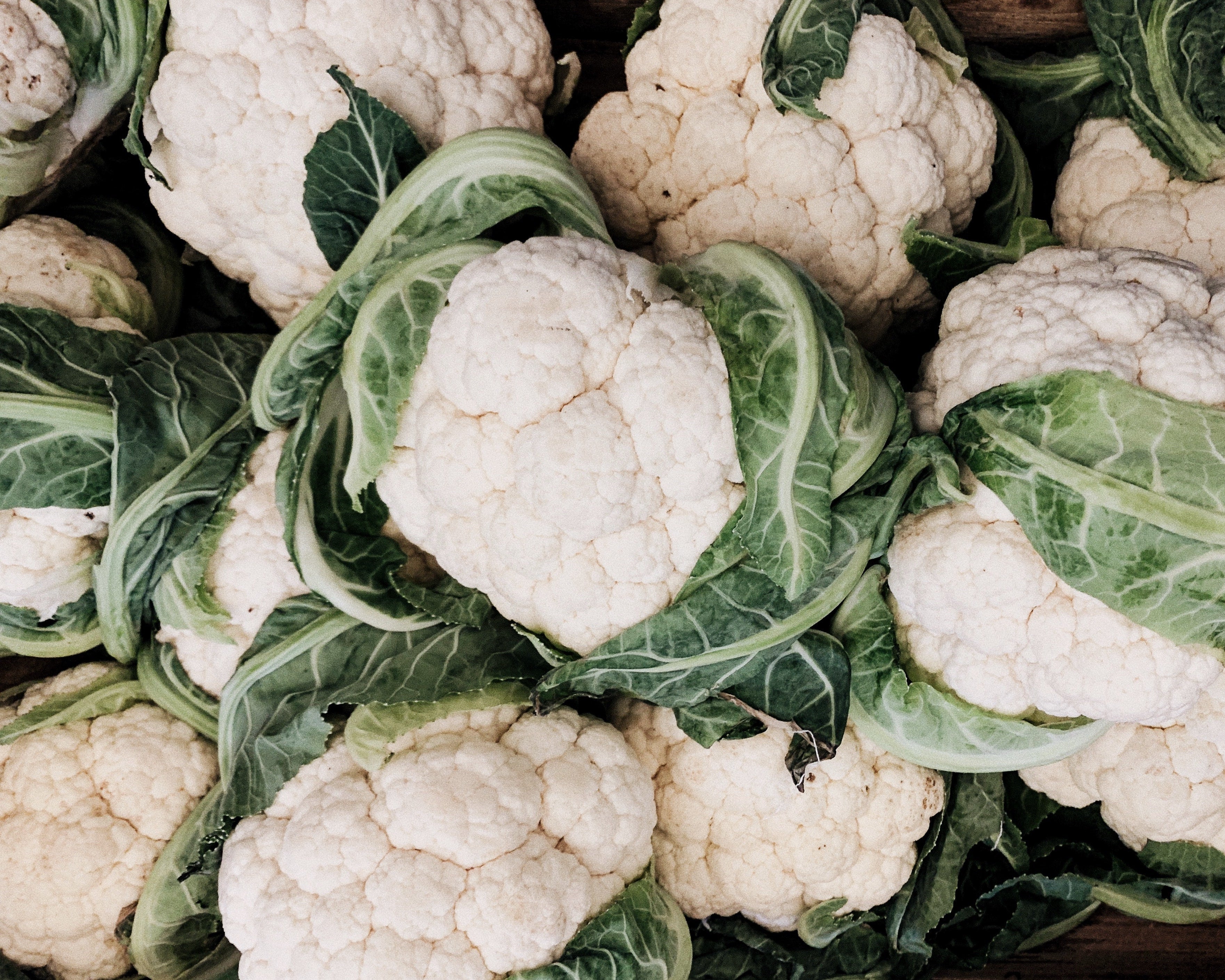 Vegan Keto: Definition, Benefits, and Food List